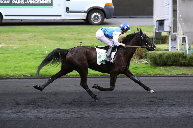 You are currently viewing Et de 4 à Vincennes pour Karna des Baults !