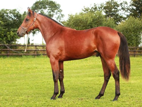 2ème journée des ventes : King Rising fait afficher 28 000 € !