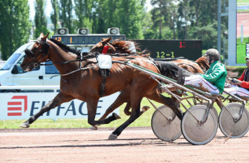 You are currently viewing Cow Boy Tuilerie dégaine à point nommé