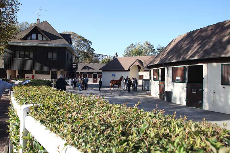 You are currently viewing Pensez aux inscriptions de vos poulains aux ventes