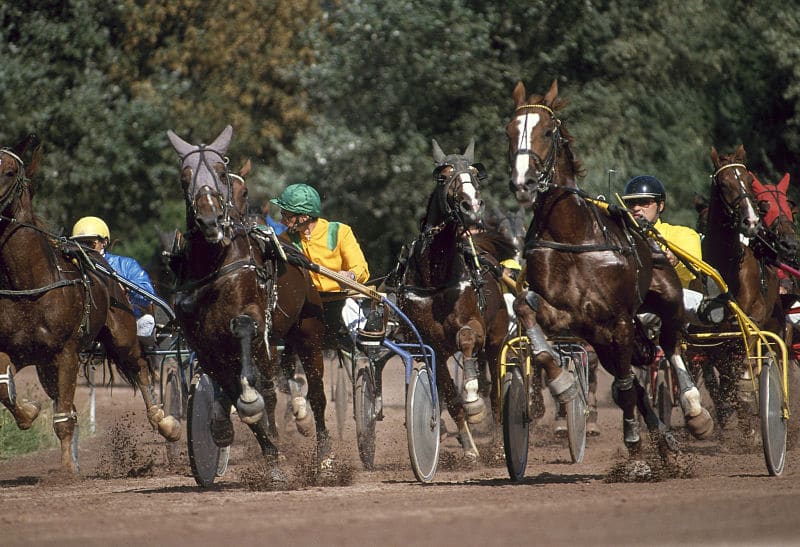 You are currently viewing Horus de Romaz – Harlem du Boulay – Hakim des Champs : un joli tir groupé