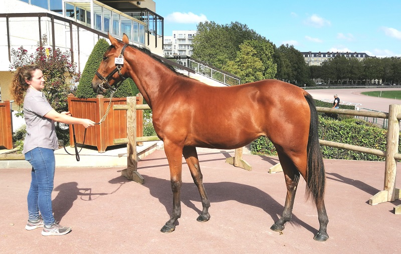 You are currently viewing Merveille du Mont fait afficher 30 000 € !