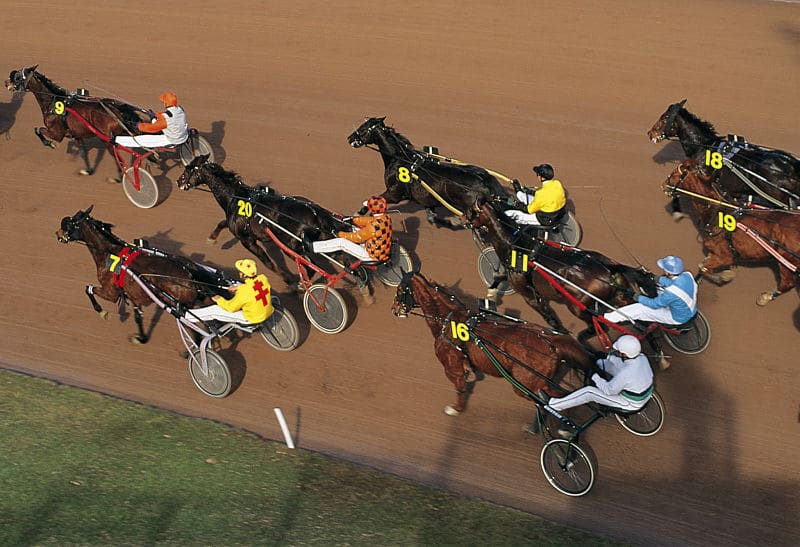 You are currently viewing Havane de Pail récompensée