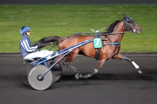 ALDO DES CHAMPS (2010)