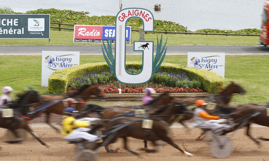 You are currently viewing Trois nouveaux gagnants Premium