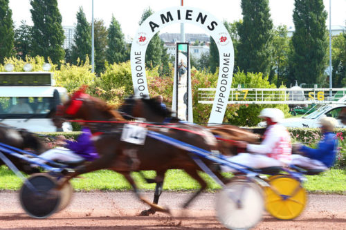 Karvina d’Ela et Jingle Pass brillent à Amiens