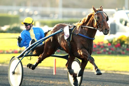 BAMBINA MAGIC (2011)