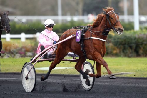 BARDANE DU HOULBET (2011)