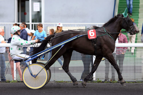 BLACK D’AVRIL (2011)