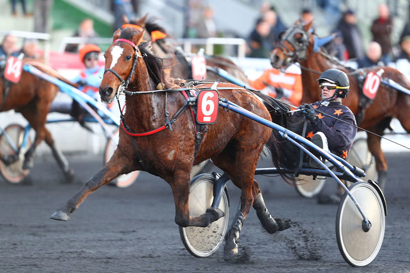 You are currently viewing Brihana a toujours de beaux restes