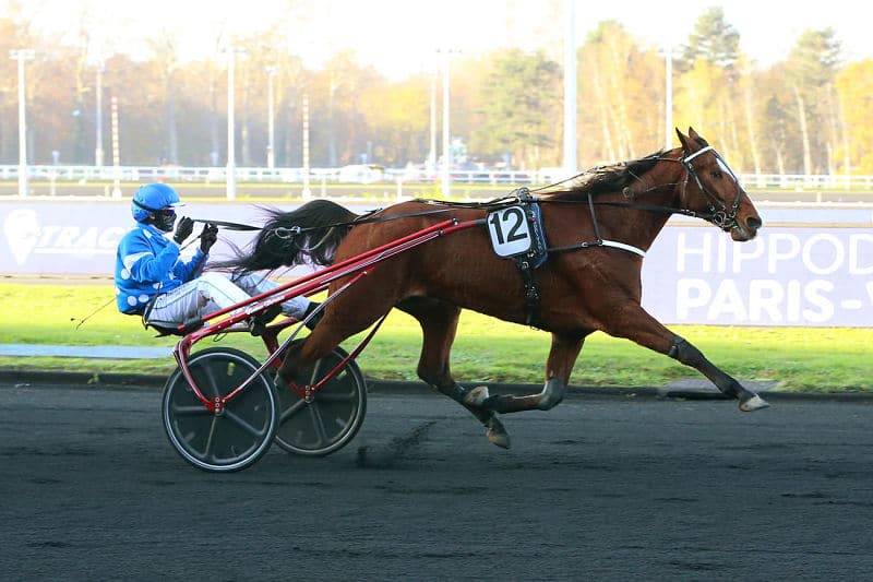 You are currently viewing Brillant Madrik s’offre un 26ème succès