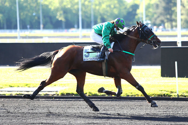 You are currently viewing Cadel de Cahot passe la barre des 250 000 €