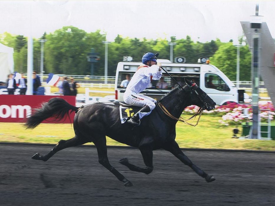 You are currently viewing CARLOS DES CAUX (2012)