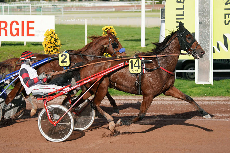 You are currently viewing Cleangame fait le show à Nantes