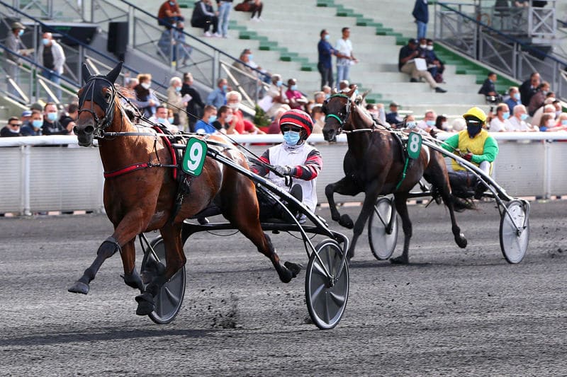 You are currently viewing Sous le charme de Cleangame