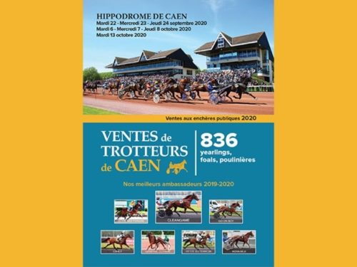 Un catalogue riche et varié