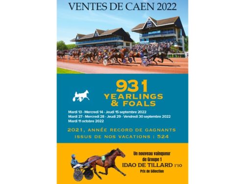 CATALOGUE 2022 : principales mises à jour de la journée de ventes du mardi 11/10