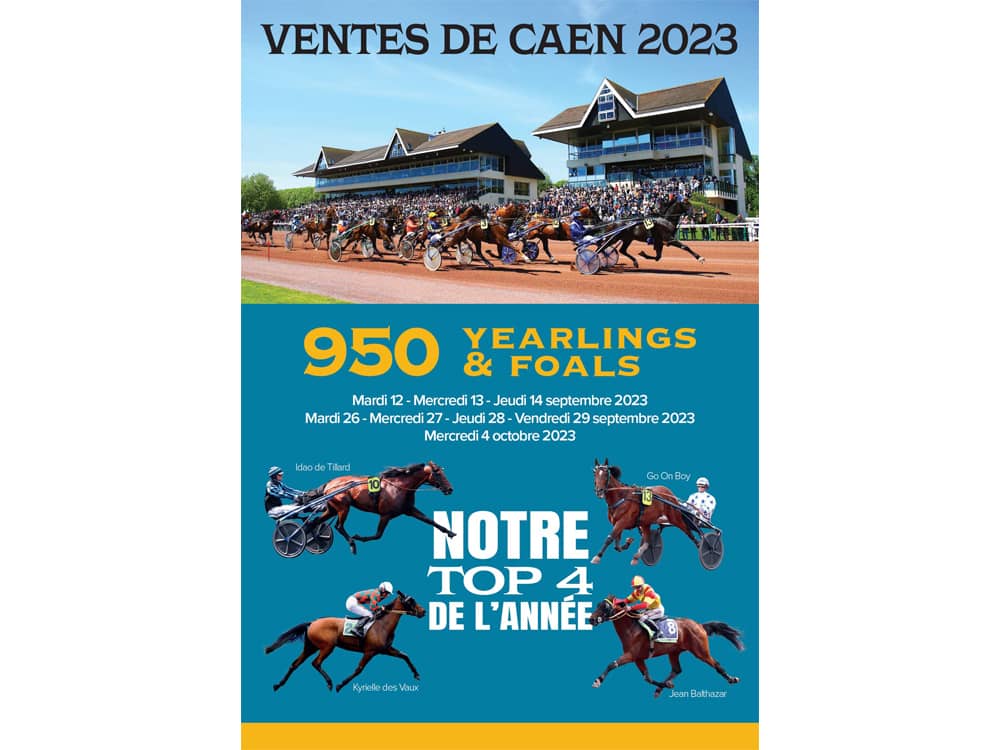 You are currently viewing Consultez les résultats des Ventes 2023