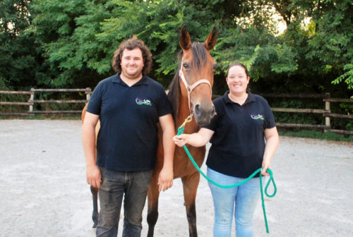 La belle histoire caennaise de la famille Romarie-Quesne