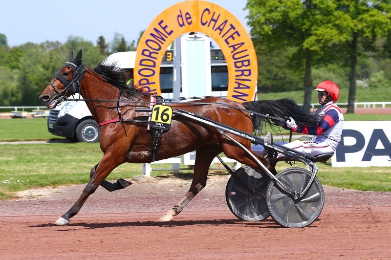 You are currently viewing Cleangame reprend sa marche en avant