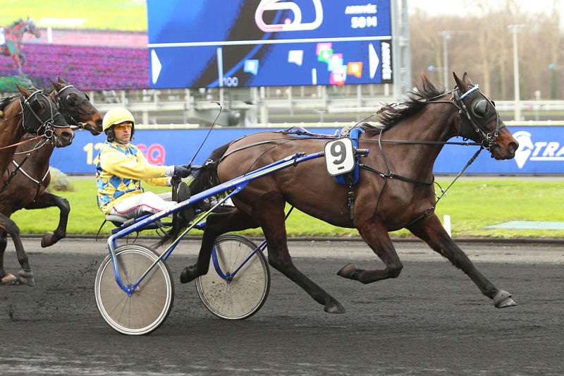 You are currently viewing Daguet Normand retrouve le chemin du succès