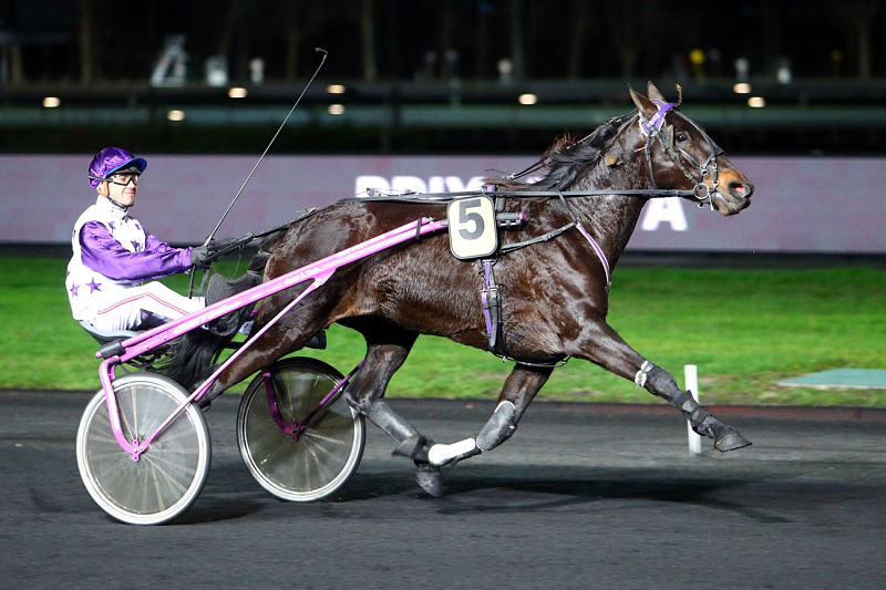 You are currently viewing « Dauphine » et « Gepetto » brillent