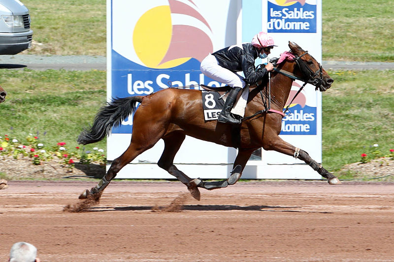 You are currently viewing Douche Catz, reine des Sables-d’Olonne