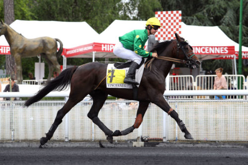 DRAGON D’AVRIL (2013)