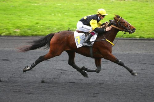 DRAGON DU FRESNE (2013)