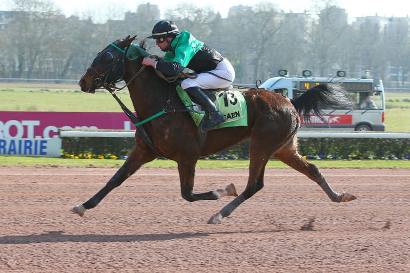 You are currently viewing Belle valeur de Drusenheim à Caen