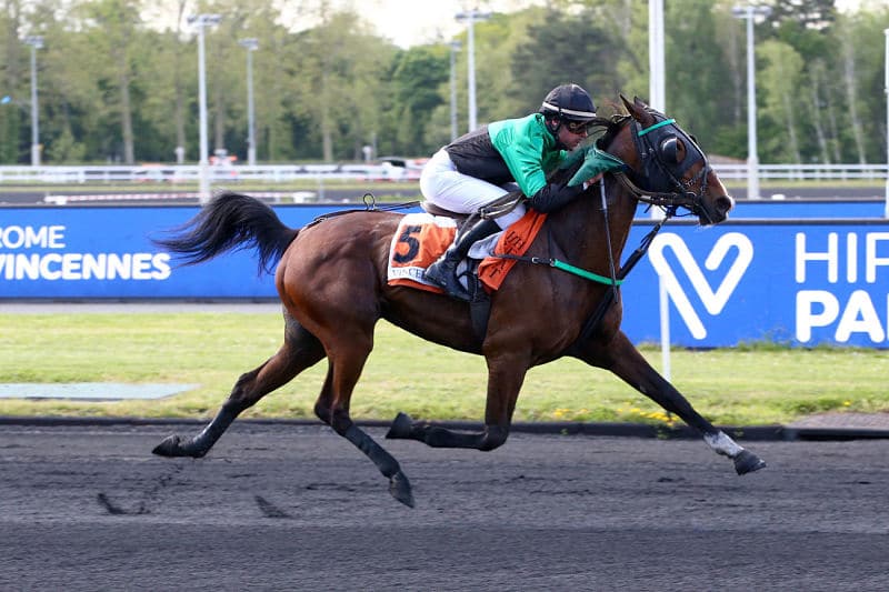 You are currently viewing Drusenheim brille à Vincennes