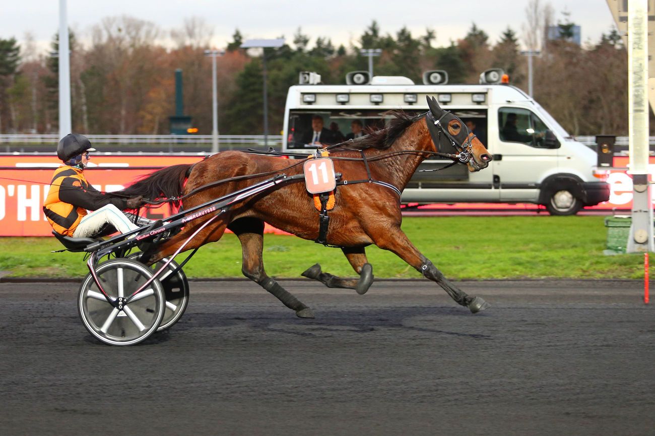 You are currently viewing ÉCLIPSE DANICA (2014)