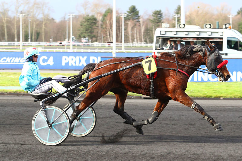 You are currently viewing Égérie Quesnot la parisienne