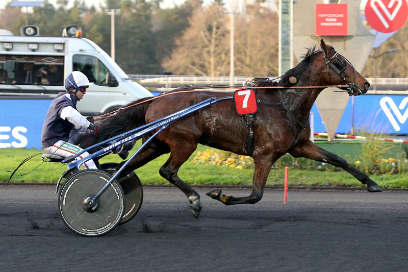 You are currently viewing Eliot d’Ambri de plus en plus fort