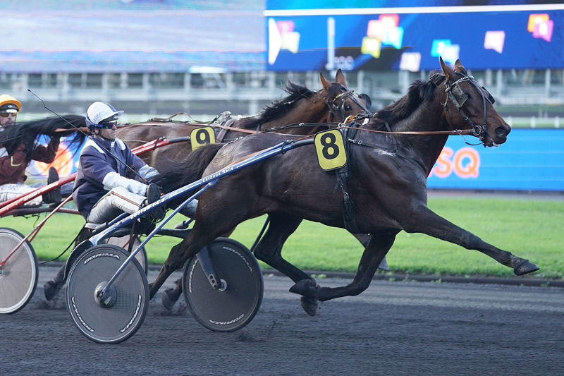 You are currently viewing Eliot d’Ambri puissance 4 !