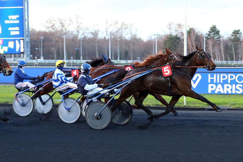 You are currently viewing Eliot d’Ambri reprend ses bonnes habitudes