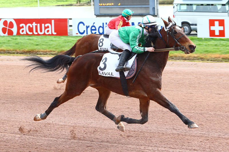 You are currently viewing Empereur du Boulay se rappelle à notre bon souvenir