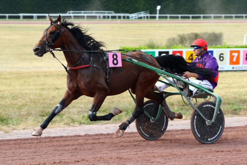 Belle rentrée victorieuse d&rsquo;Erasme Williams