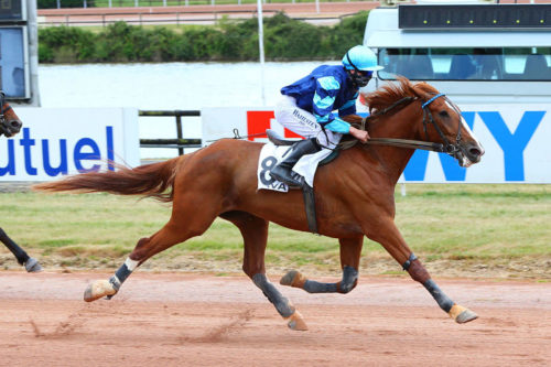 Fakir de l&rsquo;Ecluse signe  un 12ème succès !