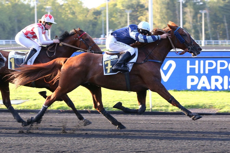 You are currently viewing Fakir de l’Ecluse, notre plus belle réussite du week-end