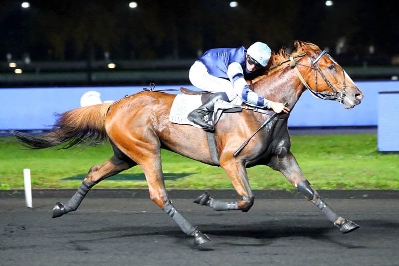 You are currently viewing Fakir de l’Ecluse se rappelle à notre bon souvenir