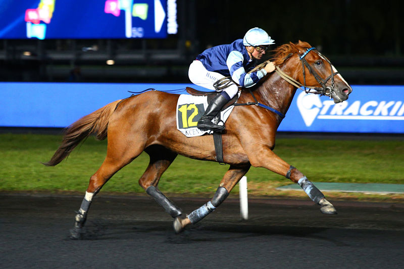 You are currently viewing Fakir de l’Ecluse triple la mise à Vincennes