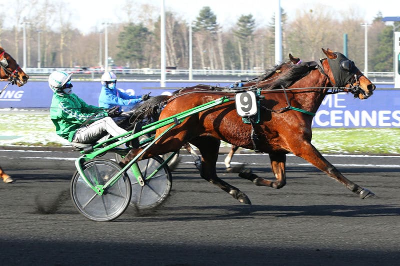 You are currently viewing Falkris brille dans le temple du trot