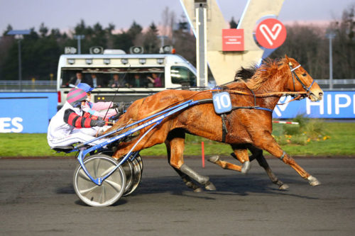 Fasty du Luot, une habituée du succès