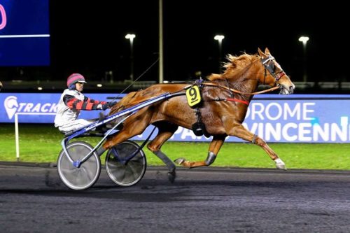 Fasty du Luot reprend ses bonnes habitudes