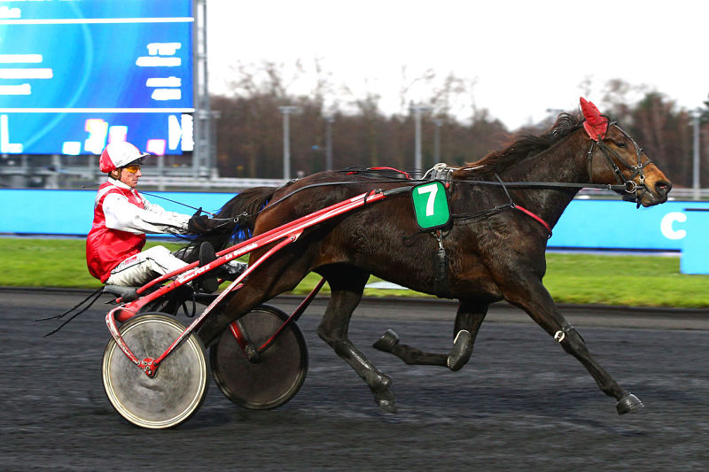 You are currently viewing Fleur de Vanille brille dans le temple du trot