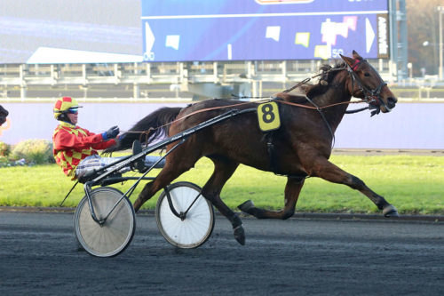 La 10ème de Flower by Magalou