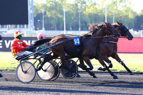 Flower By Magalou double la mise à Vincennes