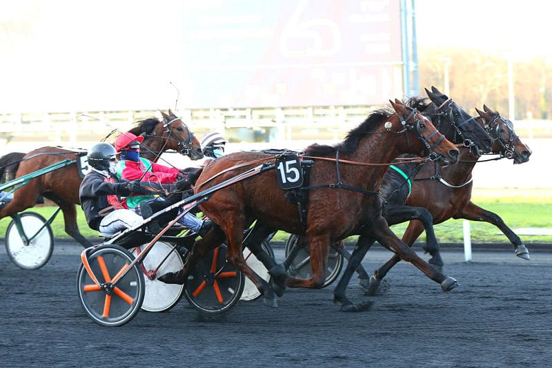 You are currently viewing La combativité de Fusée des Vaux récompensée