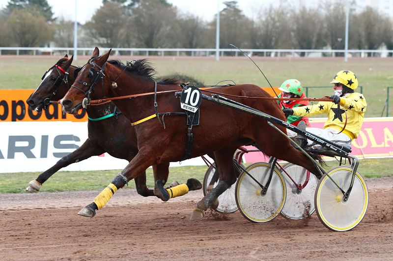 You are currently viewing Harlem du Boulay et Félini d’Ela, lauréats Premium ce mercredi